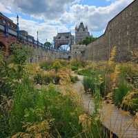 Where History Echoes Through the Ages – Explore the Tower of London!