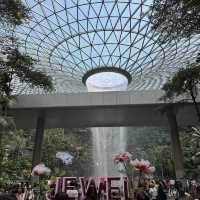シンガポール旅行🇸🇬世界最高の空港！