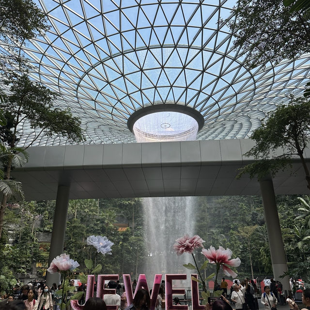 シンガポール旅行🇸🇬世界最高の空港！