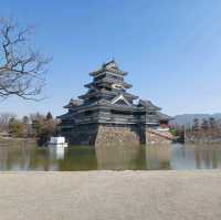 【松本城:長野県松本市】凛とした姿が素晴らしい松本城🏯