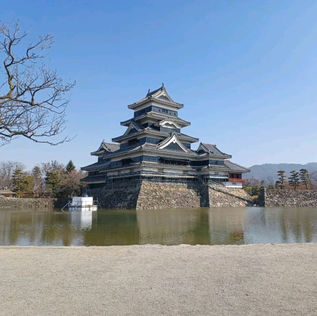 【松本城:長野県松本市】凛とした姿が素晴らしい松本城🏯