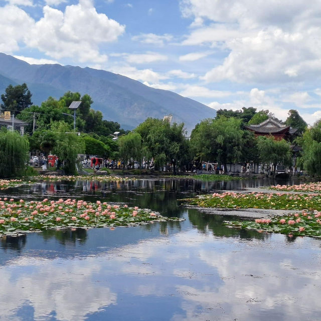 Yunnan: A Tapestry of Wonder