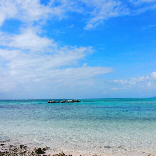 沖縄・石垣島✨