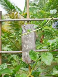 คาเฟ่ลพบุรี 🪴สวนบ้านใน หัวใจบ้านนอก