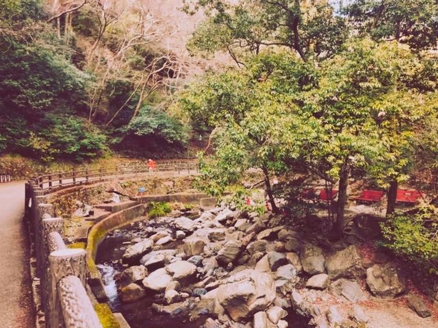 是大阪最近的國家公園