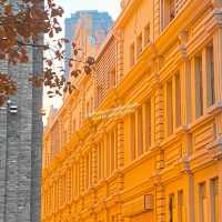 Harbin in Autumn 🍂 