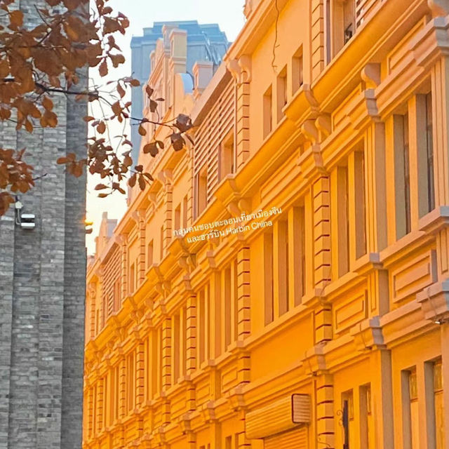 Harbin in Autumn 🍂 