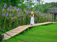 คาเฟ่สวนดอกกล้วยไม้แม่ริม เชียงใหม่