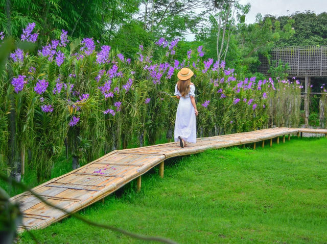 คาเฟ่สวนดอกกล้วยไม้แม่ริม เชียงใหม่