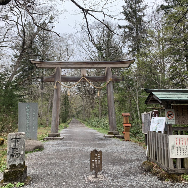 戸隠神社　杉並木参道