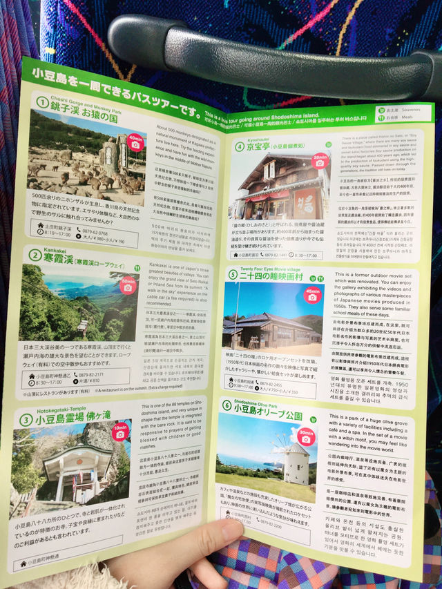 【日本四國】小豆島一日環島遊:環島觀光巴士,輕鬆遊覽主要景點 【日本四國】小豆島一日環島遊:環島觀光巴士,輕鬆遊覽主要景點