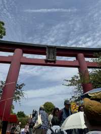 藤とスカイツリーが楽しめるスポット🪻🗼