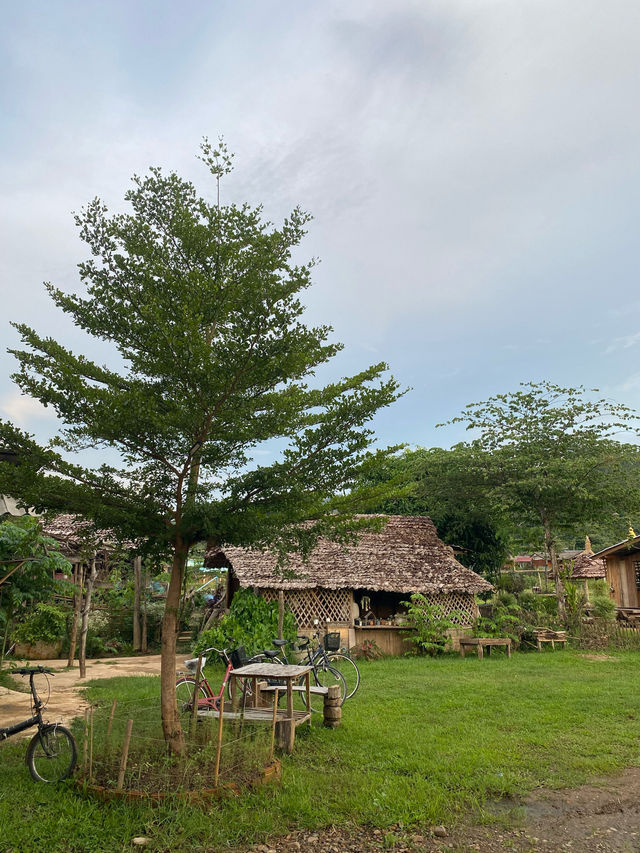 โฮมสเตย์เมืองคอง | จ.เชียงใหม่ 🏡⛰️🐶💤