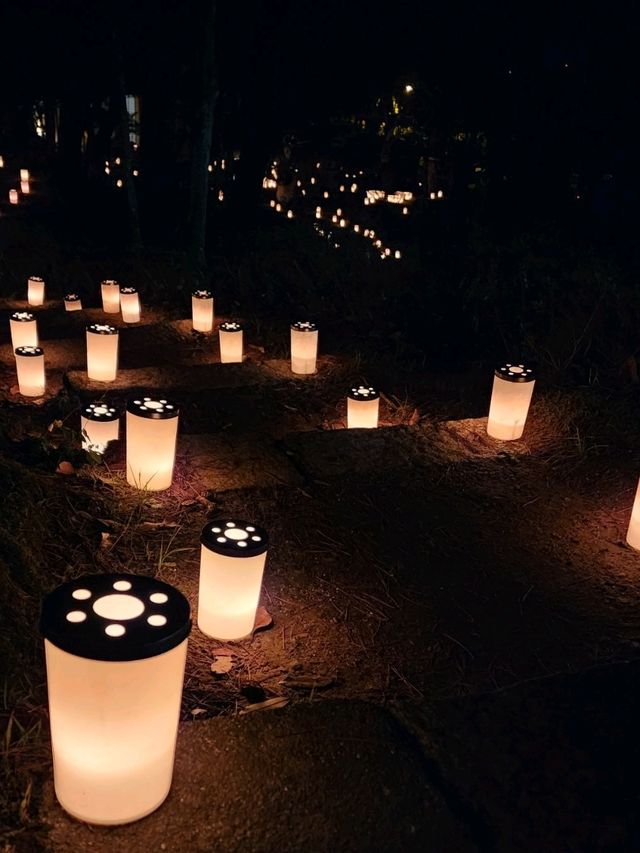 【山口グルメ】長州苑・瑠璃光寺五重塔