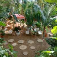 คาเฟ่ฟีลป่า House of Benedict พัทยา