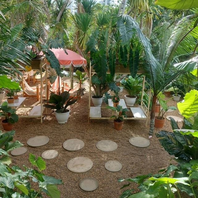 คาเฟ่ฟีลป่า House of Benedict พัทยา