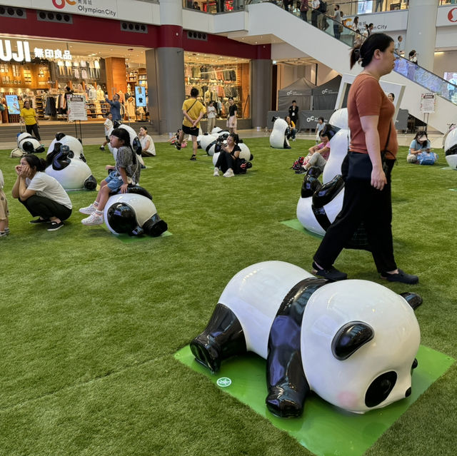 75隻熊貓喜迎國慶🐼