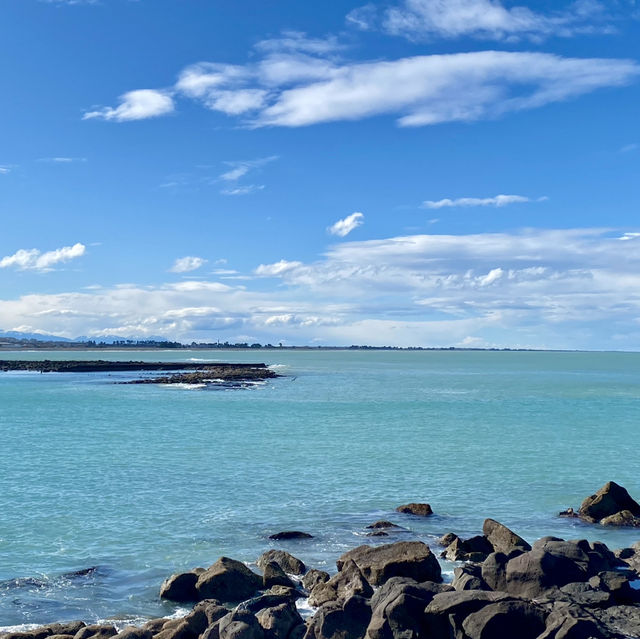 紐西蘭Timaru Dashing Rock看海看海豹