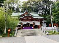 熱海観光　来宮神社