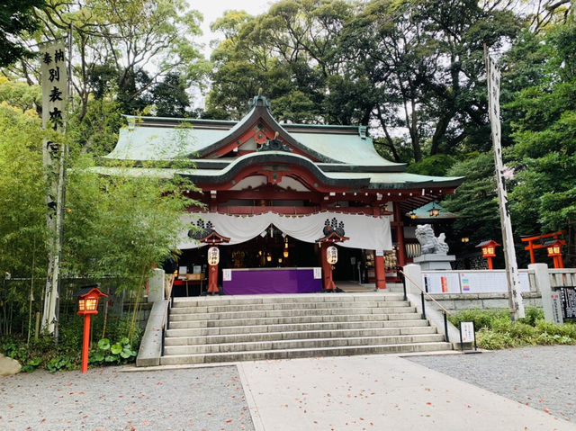 熱海観光　来宮神社