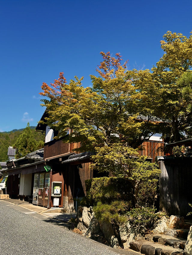 Fall Colors at Saga Toriimoto Preserved Street 🍂