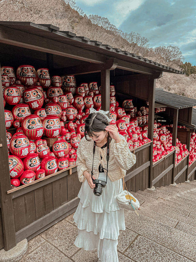達摩神社！💗勝尾寺💗跟著這篇走不迷路