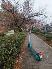 <京都 真如堂> 千年古都賞楓秘境