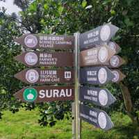 Trip with Family