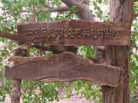 Mazar Village, A Hidden Gem of Spiritual and Cultural Heritage