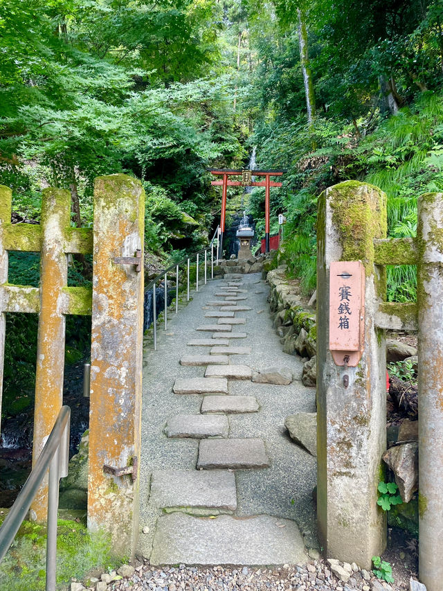 【京都府】曲水の庭に注がれるパワースポット