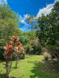 Saline Hot Spring Khlong Thom