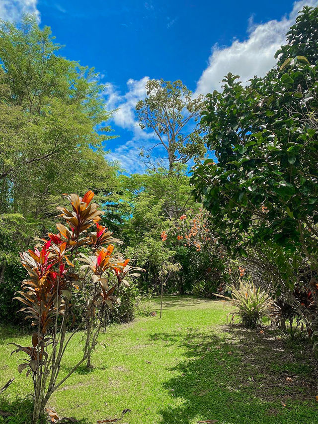 Saline Hot Spring Khlong Thom