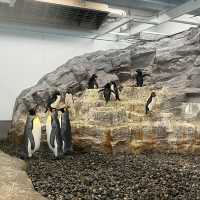 Must visit Zoo in Hokkaido