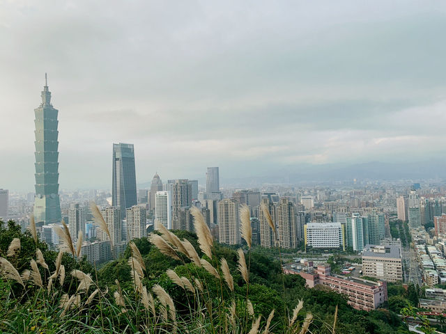 登高望遠象山行 台北美景盡收睛