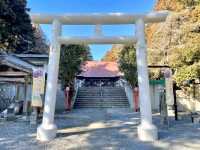 【栃木県】亀だらけの神社