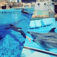 名古屋港水族館 NAGOYA