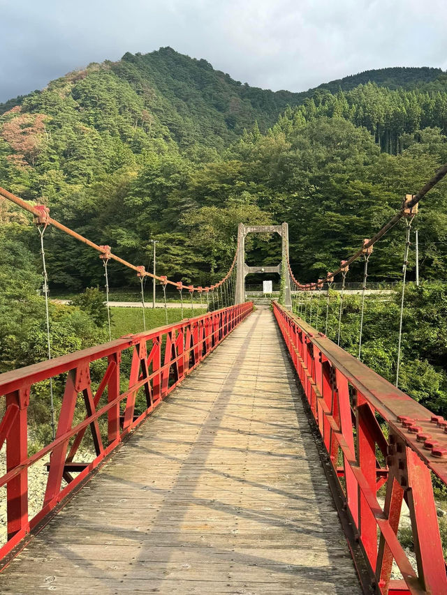 日本🇯🇵自然之美🥰抱返溪谷‼️東京出發短線3日2夜之選