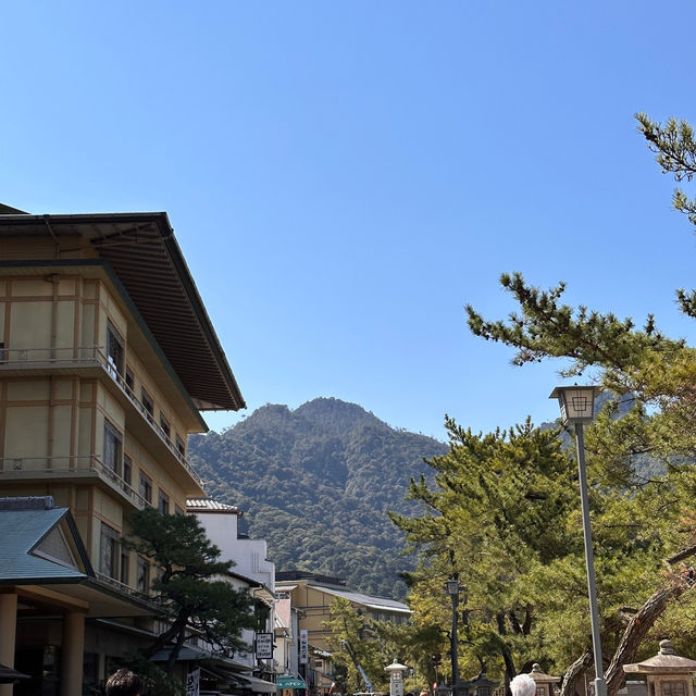 Island of Wonder: Exploring the Beauty and Charm of Miyajima!