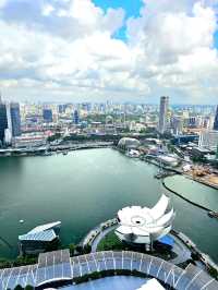 เที่ยวชมวิวสิงคโปร์ที่ SkyPark: Marina Bay Sands