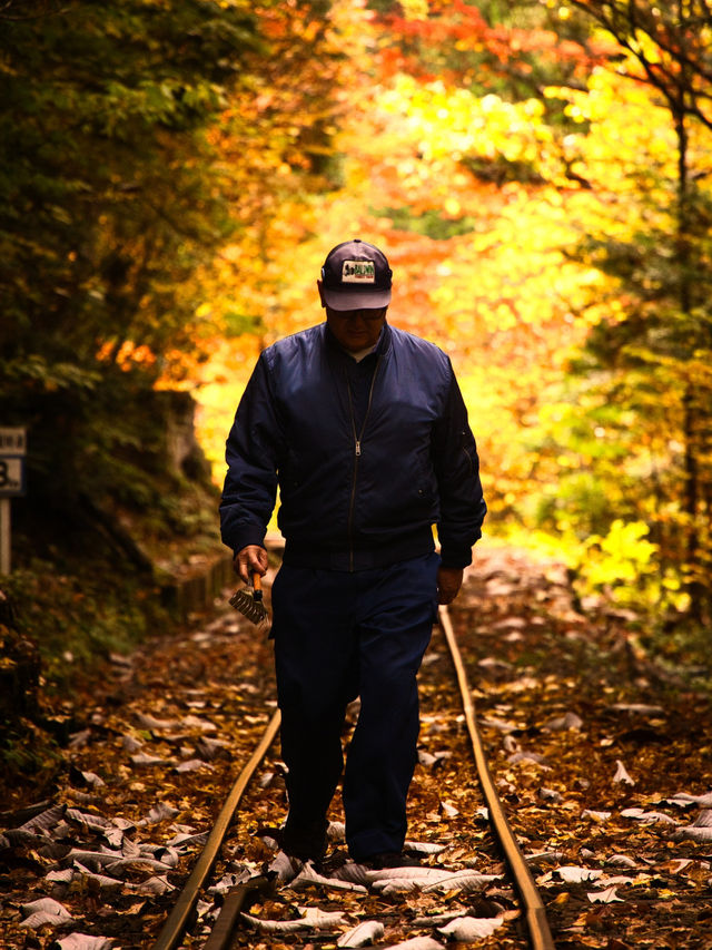 【長野】アメリカの紅葉を彷彿とさせる絶景🍁攻略&周辺観光情報付き✨