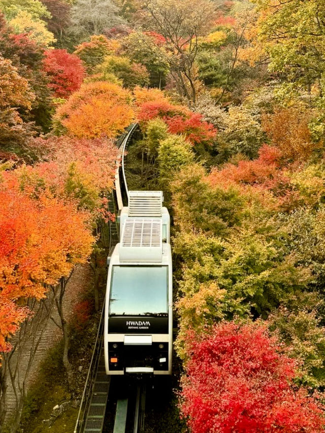 🍁고즈넉한 오솔길을 따라 단풍의 향연을 감상할 수 있는 ✨가을 여행지 추천 🍁