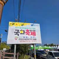 가을에 꼭 가봤으면 하는 꽃천지 , 연천 국화 축제 🌺