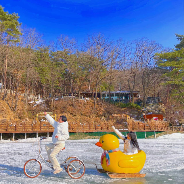 역시 겨울에는 오리썰매 무조건 이지🐤