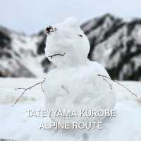 One day trip Tateyama Kurobe Alpine Route