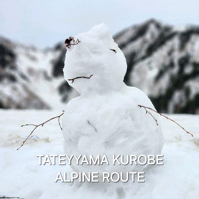 One day trip Tateyama Kurobe Alpine Route