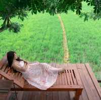 ที่พักไม่ไกลจากตัวเมืองเชียงใหม่