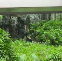 購買trip.com套票遊玩台北市立動物園,價廉+快捷+方便👍