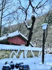 멋지고 고요한 분위기의 🩵얼음골 풍경을 경험할 수 있는 ❄️겨울여행지 추천 ❄️