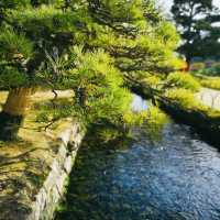 Autumn Magic: A Colorful Escape at Okayama Korakuen Garden!