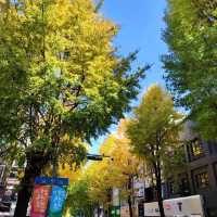 去首爾不能錯過的梨花女子大學銀杏林和紅葉美景